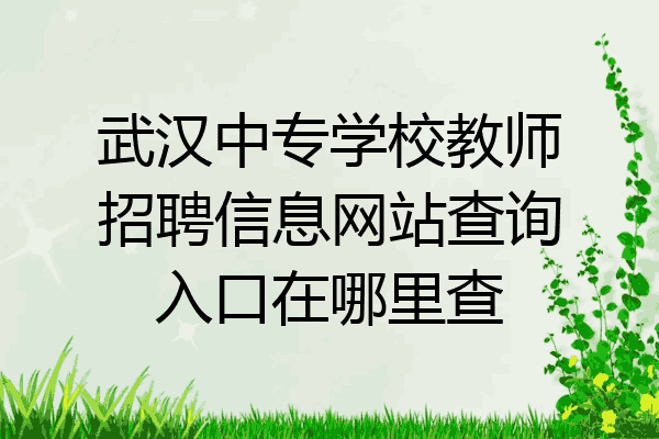武汉中专学校教师招聘信息网站查询入口在哪里查