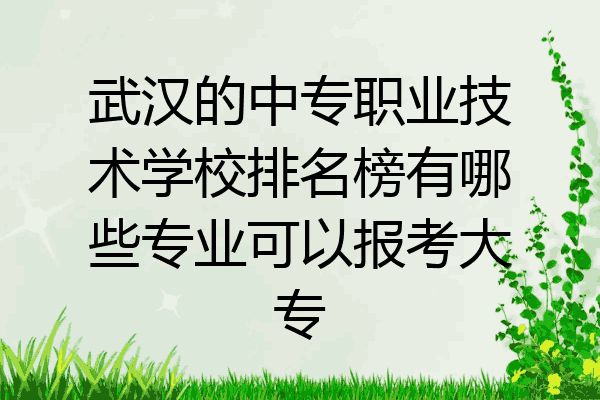 武汉的中专职业技术学校排名榜有哪些专业可以报考大专