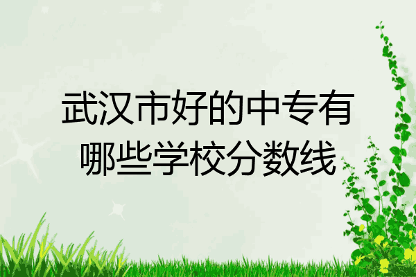 武汉市好的中专有哪些学校分数线