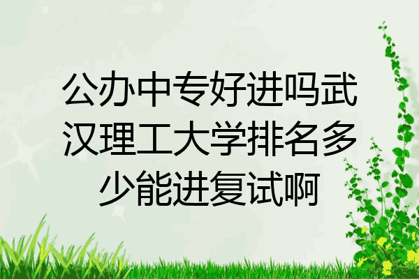 公办中专好进吗武汉理工大学排名多少能进复试啊