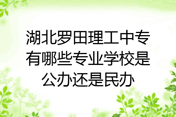 湖北罗田理工中专有哪些专业学校是公办还是民办