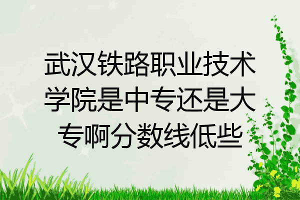 武汉铁路职业技术学院是中专还是大专啊分数线低些