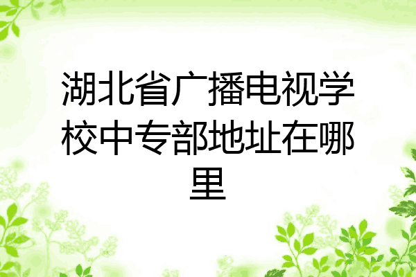 湖北省广播电视学校中专部地址在哪里