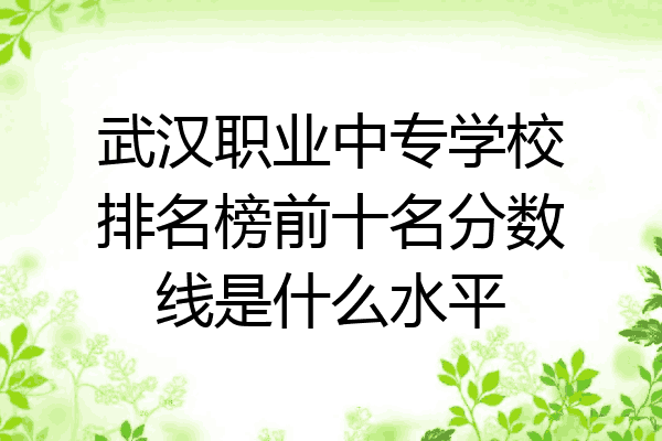 武汉职业中专学校排名榜前十名分数线是什么水平