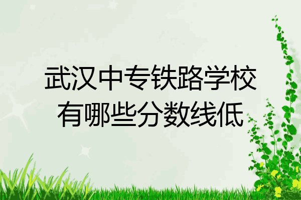 武汉中专铁路学校有哪些分数线低