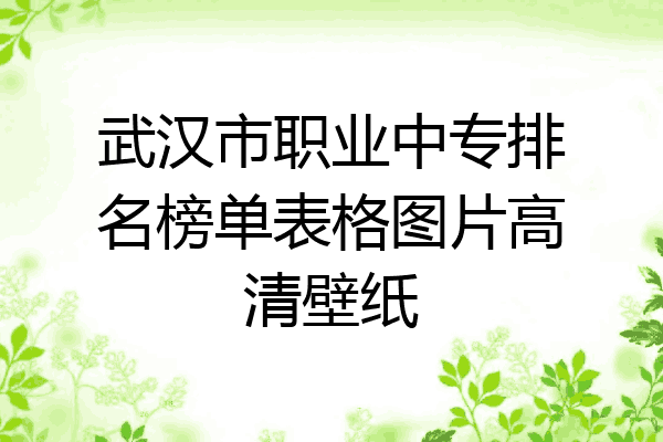武汉市职业中专排名榜单表格图片高清壁纸