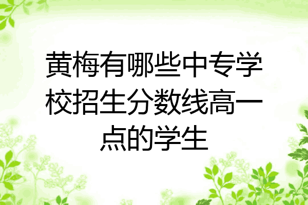 黄梅有哪些中专学校招生分数线高一点的学生