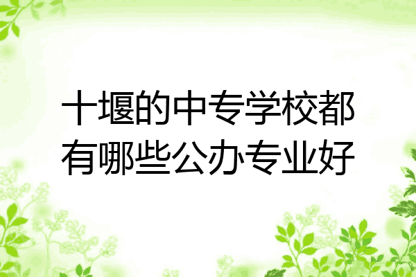 十堰的中专学校都有哪些公办专业好