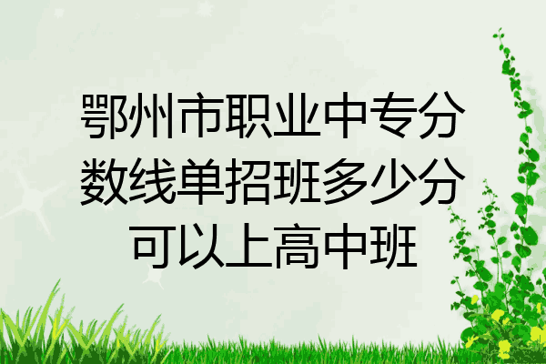 鄂州市职业中专分数线单招班多少分可以上高中班