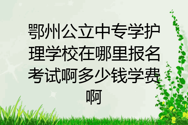 鄂州公立中专学护理学校在哪里报名考试啊多少钱学费啊