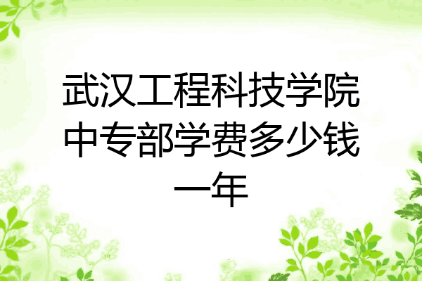 武汉工程科技学院中专部学费多少钱一年