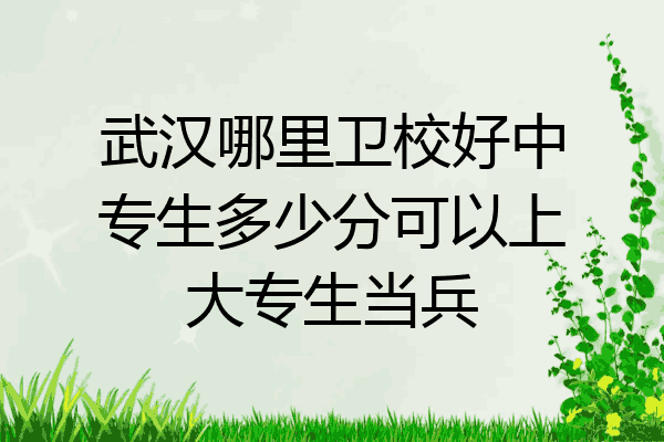 武汉哪里卫校好中专生多少分可以上大专生当兵