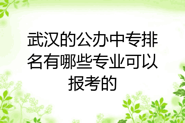 武汉的公办中专排名有哪些专业可以报考的