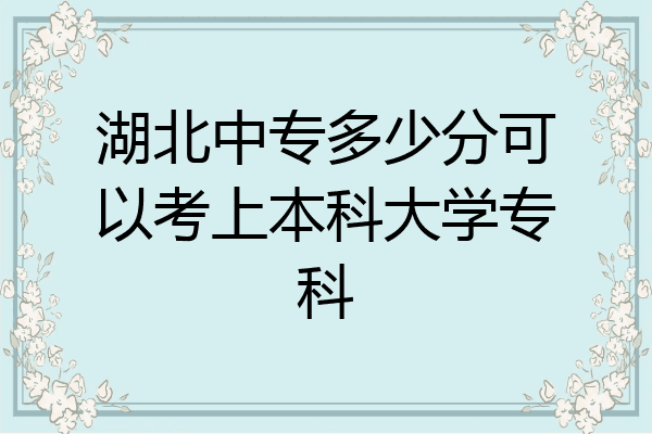湖北中专多少分可以考上本科大学专科