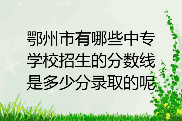 鄂州市有哪些中专学校招生的分数线是多少分录取的呢