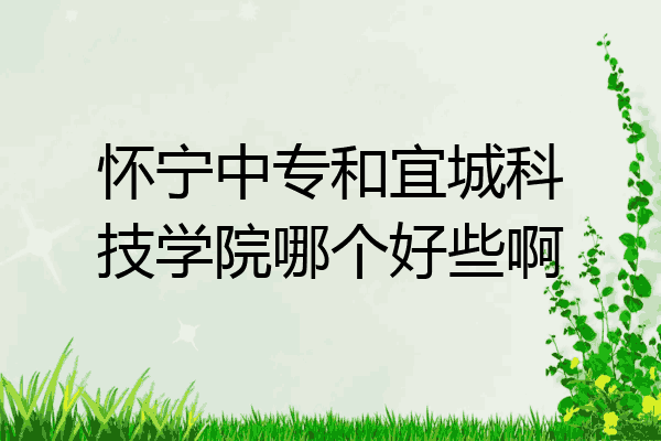 怀宁中专和宜城科技学院哪个好些啊