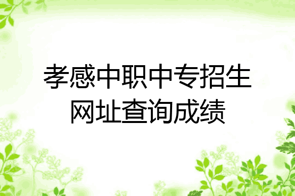 孝感中职中专招生网址查询成绩
