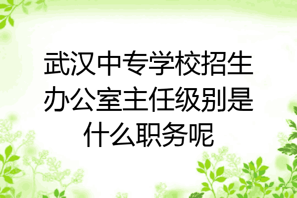 武汉中专学校招生办公室主任级别是什么职务呢