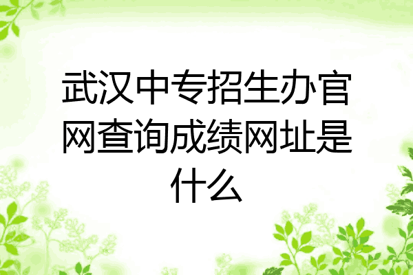 武汉中专招生办官网查询成绩网址是什么