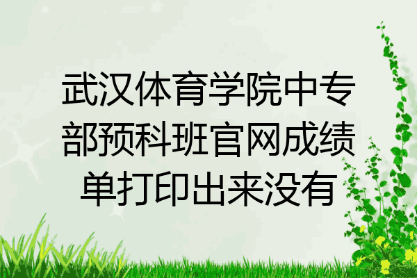 武汉体育学院中专部预科班官网成绩单打印出来没有