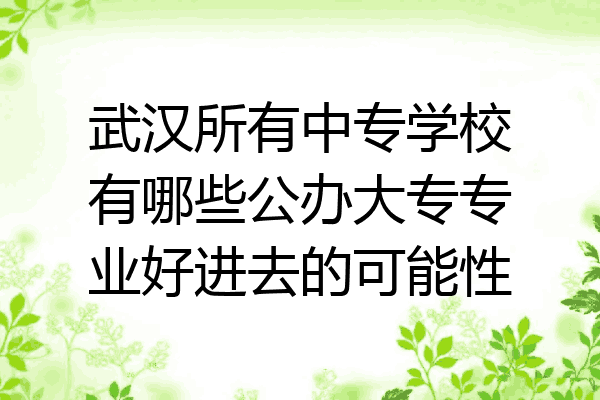 武汉所有中专学校有哪些公办大专专业好进去的可能性