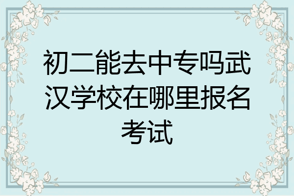 初二能去中专吗武汉学校在哪里报名考试