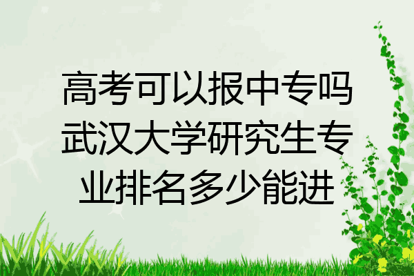 高考可以报中专吗武汉大学研究生专业排名多少能进