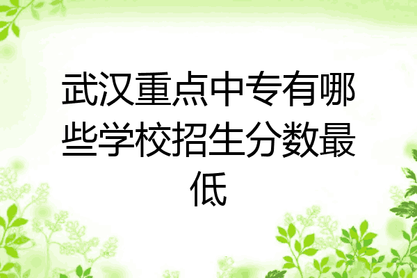 武汉重点中专有哪些学校招生分数最低