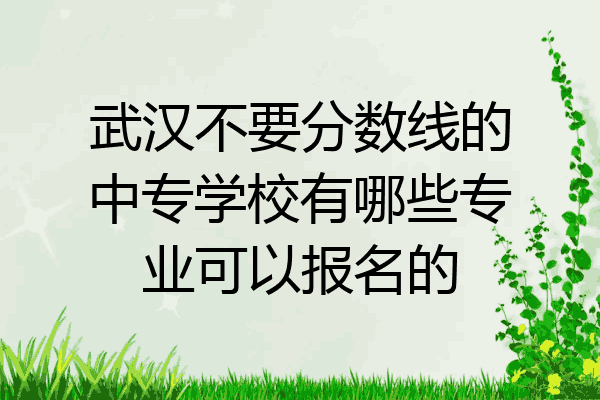 武汉不要分数线的中专学校有哪些专业可以报名的