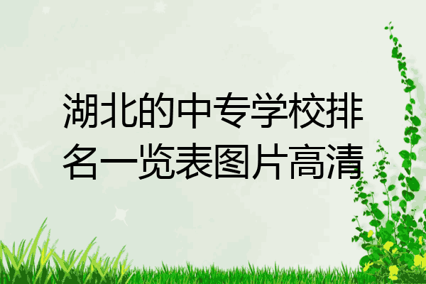 湖北的中专学校排名一览表图片高清