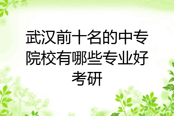 武汉前十名的中专院校有哪些专业好考研