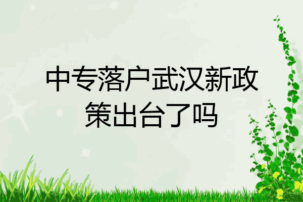 中专落户武汉新政策出台了吗