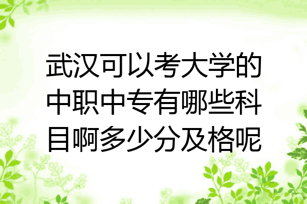 武汉可以考大学的中职中专有哪些科目啊多少分及格呢