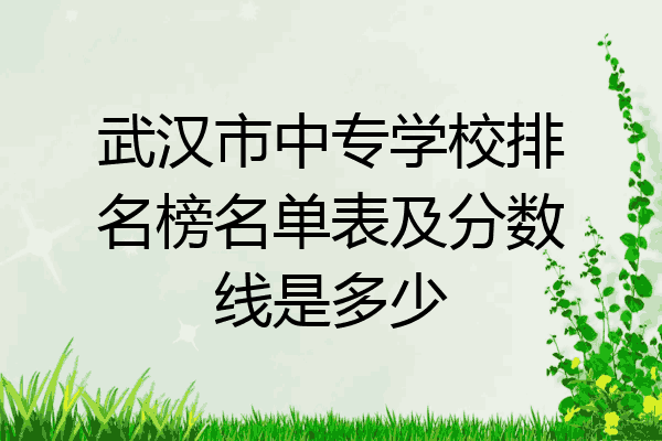 武汉市中专学校排名榜名单表及分数线是多少