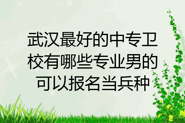 武汉最好的中专卫校有哪些专业男的可以报名当兵种