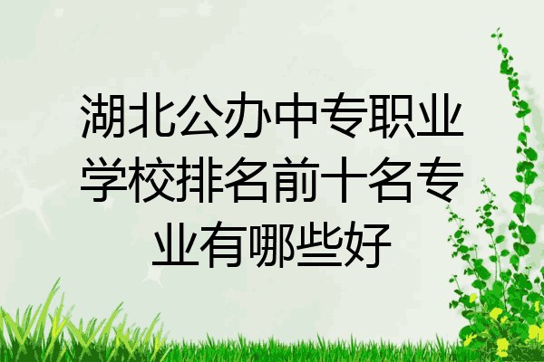 湖北公办中专职业学校排名前十名专业有哪些好