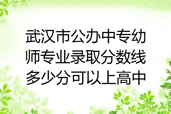 武汉市公办中专幼师专业录取分数线多少分可以上高中