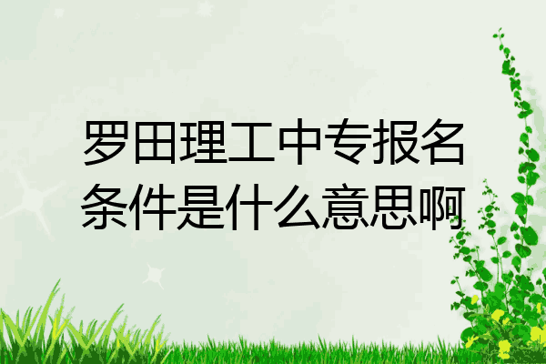 罗田理工中专报名条件是什么意思啊
