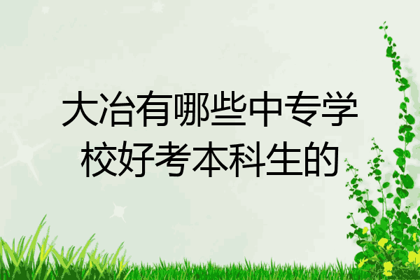 大冶有哪些中专学校好考本科生的