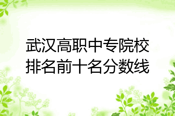 武汉高职中专院校排名前十名分数线