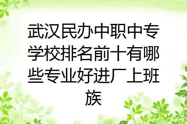 武汉民办中职中专学校排名前十有哪些专业好进厂上班族