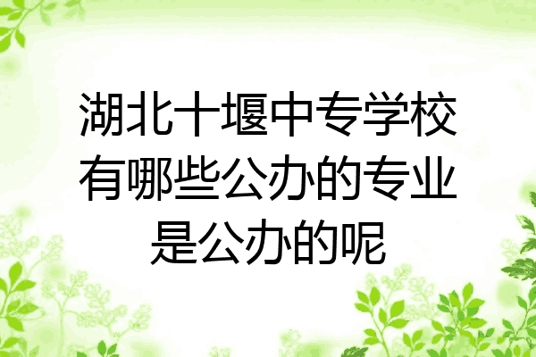 湖北十堰中专学校有哪些公办的专业是公办的呢