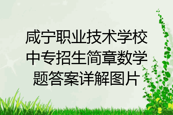 咸宁职业技术学校中专招生简章数学题答案详解图片