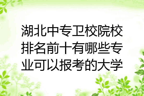 湖北中专卫校院校排名前十有哪些专业可以报考的大学