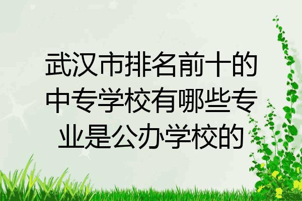 武汉市排名前十的中专学校有哪些专业是公办学校的