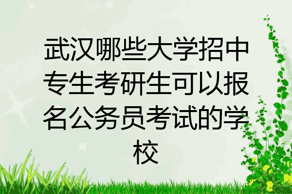 武汉哪些大学招中专生考研生可以报名公务员考试的学校