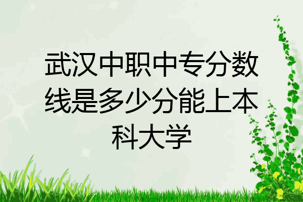 武汉中职中专分数线是多少分能上本科大学