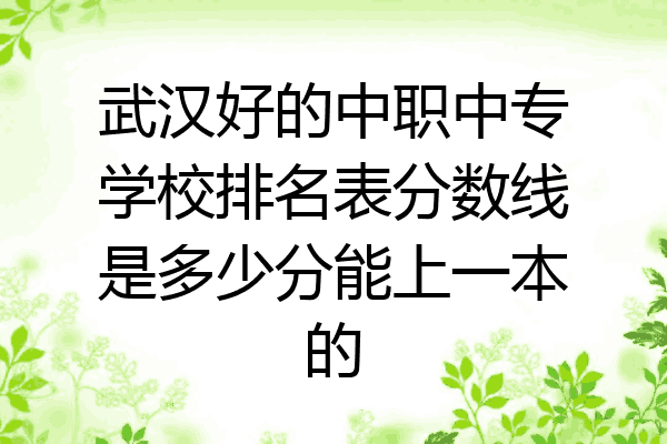 武汉好的中职中专学校排名表分数线是多少分能上一本的
