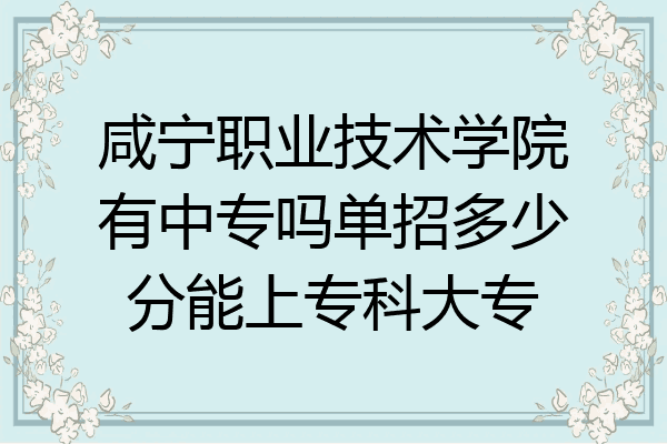 咸宁职业技术学院有中专吗单招多少分能上专科大专