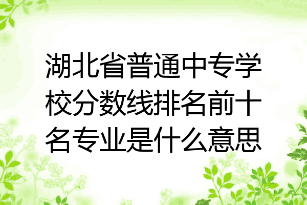 湖北省普通中专学校分数线排名前十名专业是什么意思